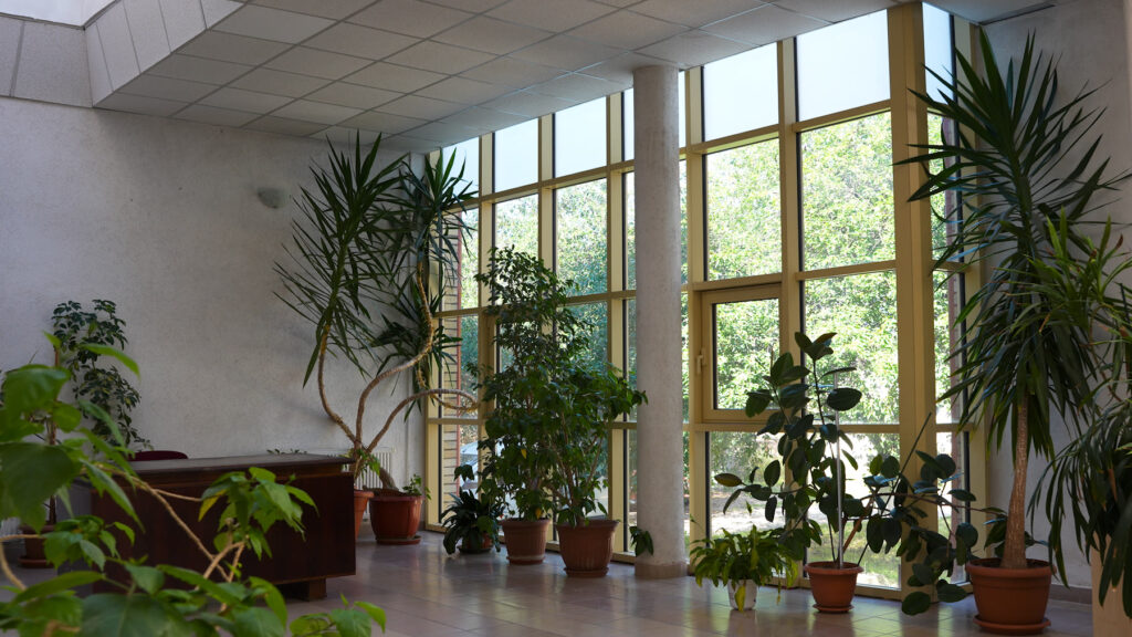 Mairie de Șomcuta Mare, Roumanie — galerie vitrée
