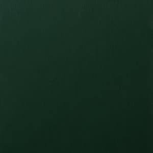Échantillon de film RENOLIT EXOFOL MX Dark Green 6125