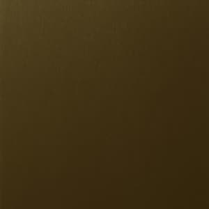 Échantillon de film RENOLIT EXOFOL PX Bronze Platinum 1